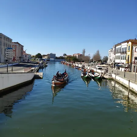 Romantic Flamingos - Beautiful View Over The Canal