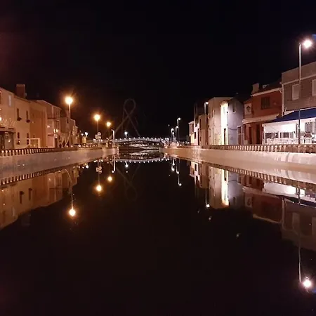 Romantic Flamingos - Beautiful View Over The Canal * Aveiro
